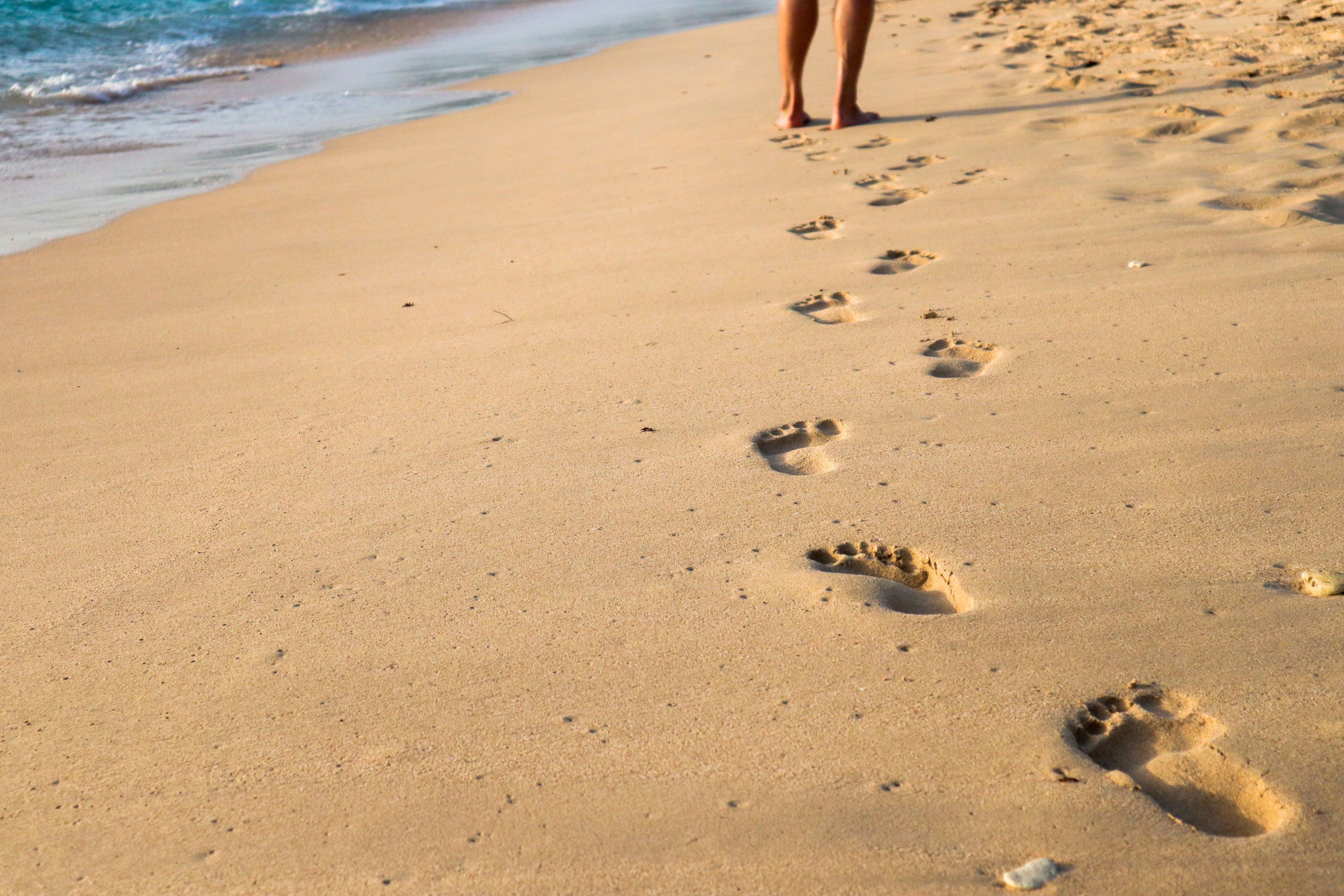 Digital Footprint and Social Media Safety
