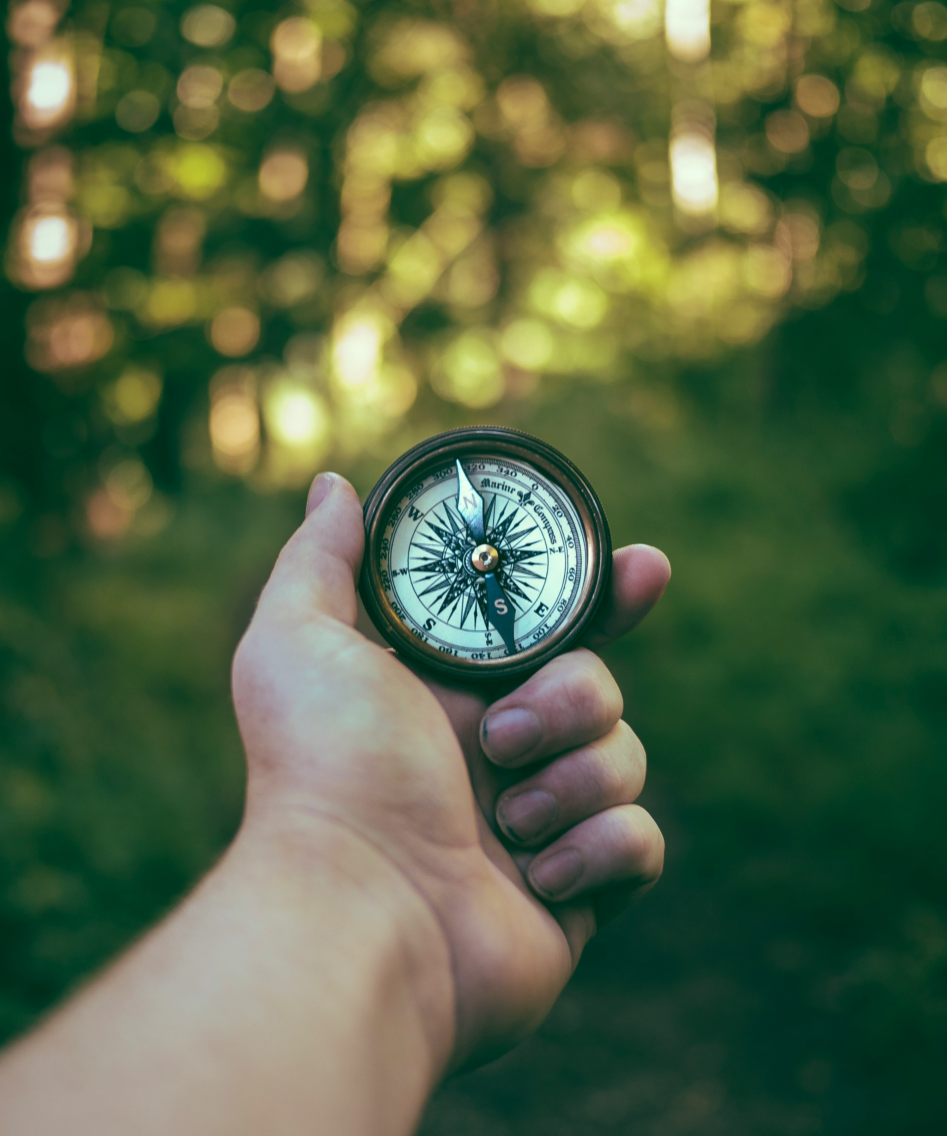 Cybersecurity Learning Roadmap & Career Paths