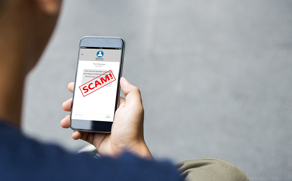 Avoiding Online Scams