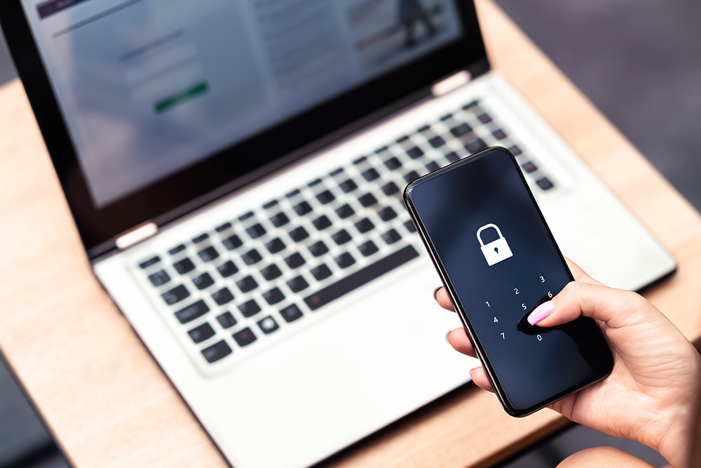 Online Safety, Privacy Basics, Cyber Security, Avoiding Scams